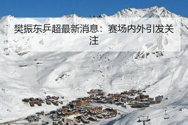 樊振东乒超最新消息：赛场内外引发关注